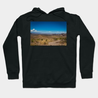 Sotol in the Chihuahuan Desert Hoodie